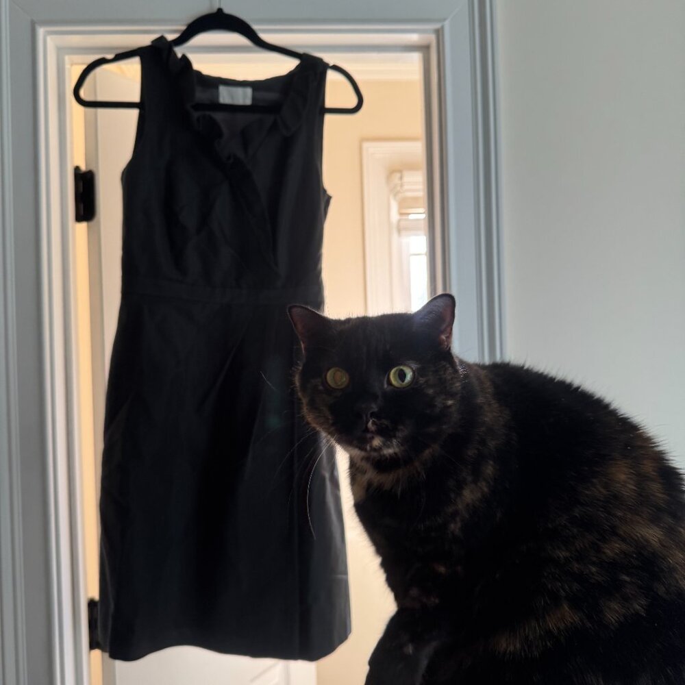 Very Cute Dark Grey Dress （above knee length）